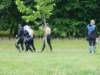 dsc03349_small.jpg