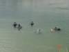dsc03366_small.jpg