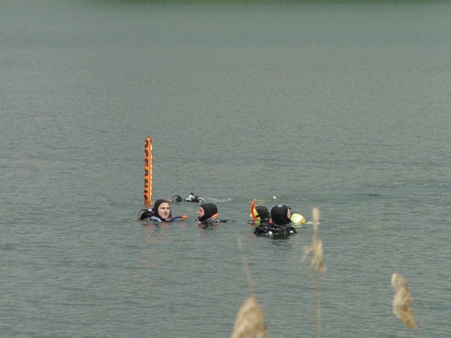 dsc03372.jpg