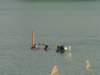 dsc03372_small.jpg