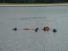 dsc03373_small.jpg