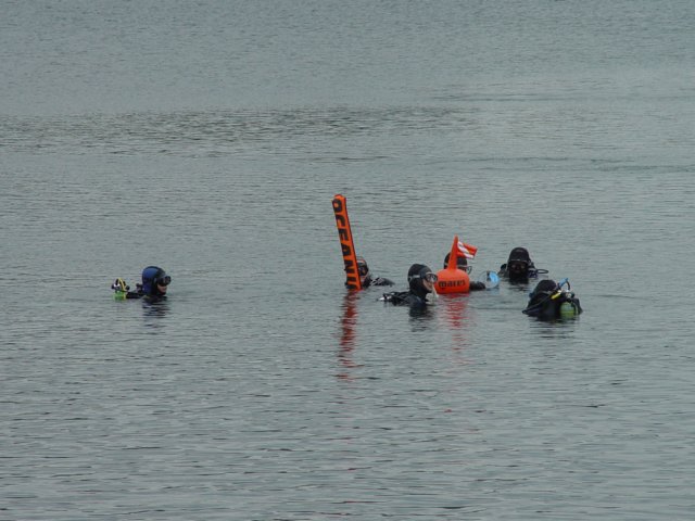 dsc03374.jpg