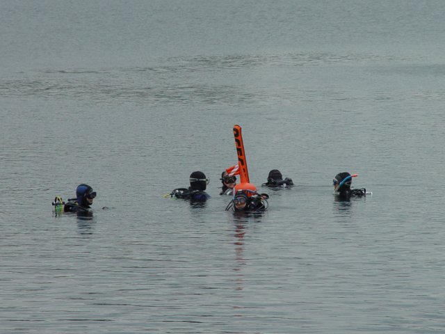 dsc03376.jpg