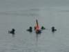dsc03376_small.jpg