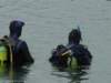 dsc03378_small.jpg