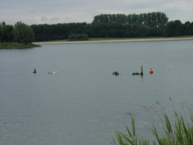 dsc03379.jpg
