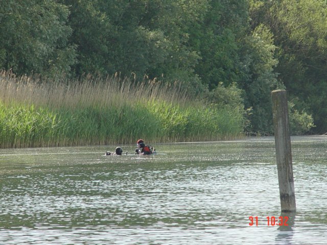 dsc03271.jpg