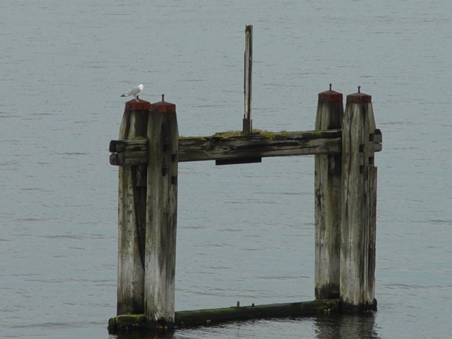 zeeland_duik012.jpg