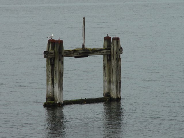 zeeland_duik022.jpg