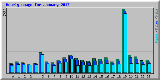 Hourly usage for January 2017