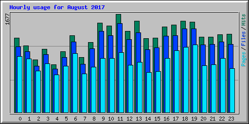 Hourly usage for August 2017